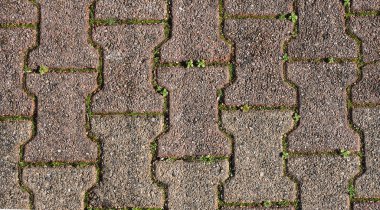 Yosun, ot ya da yabani otlarla kaplı asfalt dokusu. Metin için boş alanı olan arkaplan.