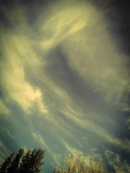 Drzewa Wiosną Aurorą Borealis Jak Niebo Chmury — Zdjęcie stockowe