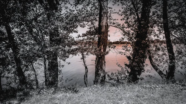 Wonderful Nature Landscape Tree Branches Fresh Leaves Water Calm Lake — Stok fotoğraf