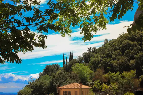 Montserrat España Cipreses Contra Cielo Unas Vacaciones Lujo —  Fotos de Stock