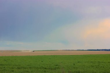 Traktör sonbaharda hasat için ilkbaharda tarlayı sürüyor, traktör sürücüsü..