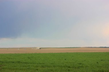 Traktör sonbaharda hasat için ilkbaharda tarlayı sürüyor, traktör sürücüsü..
