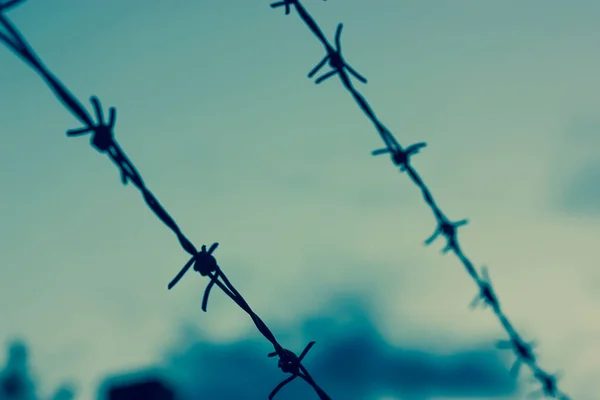 Stacheldraht Abend Blauen Himmel Gefängniszeit — Stockfoto