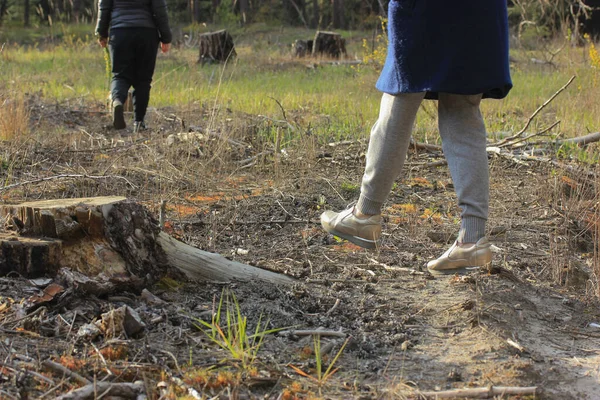 Wandelen Het Bos Meisjes Wandelen Het Gras Het Bos — Stockfoto