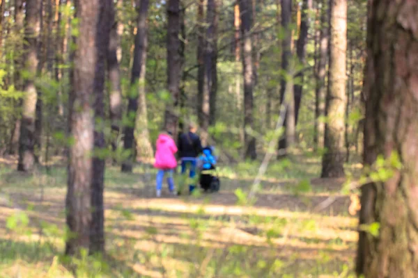 Młoda Rodzina Dzieckiem Wózku Spacerującym Ścieżką Lesie Lub Park Świeżym — Zdjęcie stockowe