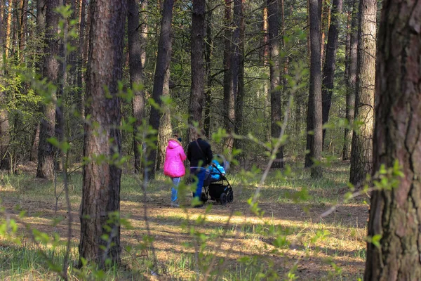 Uma Jovem Família Com Bebê Bonde Passeando Longo Caminho Floresta — Fotografia de Stock