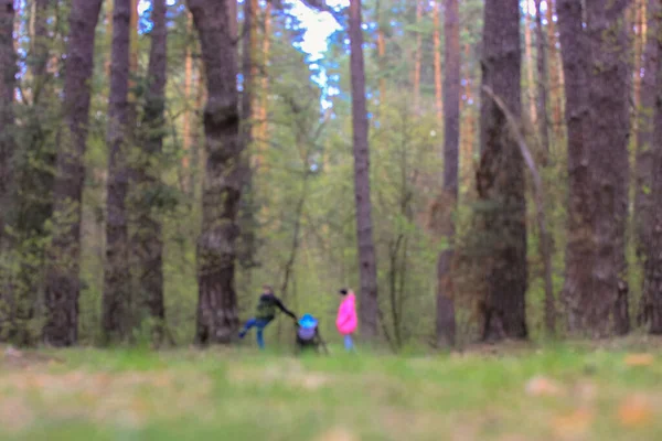 Młoda Rodzina Dzieckiem Wózku Spacerującym Ścieżką Lesie Lub Park Świeżym — Zdjęcie stockowe