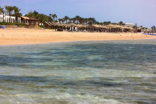 Lüks tatil köyü: güneşten korunmak için sahil ve saman şemsiyeler, deniz kenarında tembel yaz tatili, güneşli güzel bir gün..