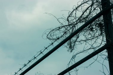 Metal dikenli tel mavi gökyüzü arkaplanına karşı: hapsetme ve kölelik
