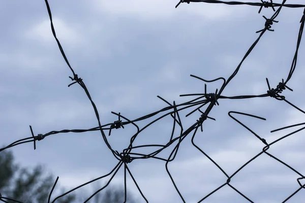 Metal Arame Farpado Contra Fundo Céu Azul Prisão Escravidão — Fotografia de Stock