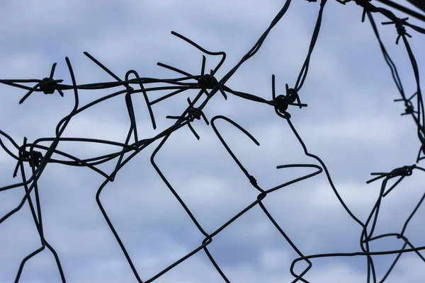 Metal Arame Farpado Contra Fundo Céu Azul Prisão Escravidão — Fotografia de Stock