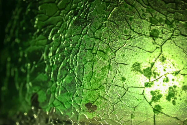 Uma Folha Verde Fecha Cavidades — Fotografia de Stock