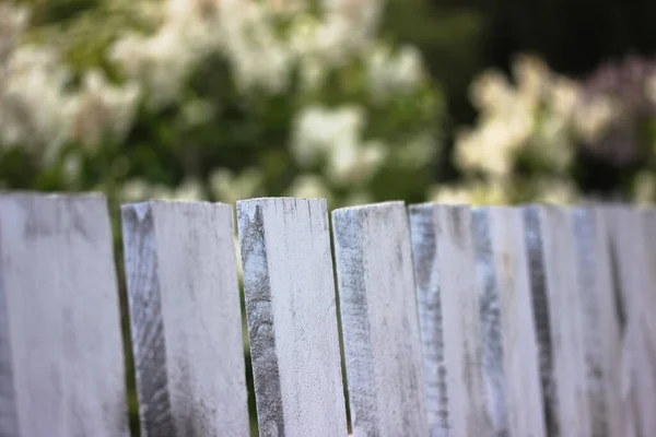 Cerca Madeira Branca Contra Fundo Jardim Arbustos Florescentes Verão Vida — Fotografia de Stock