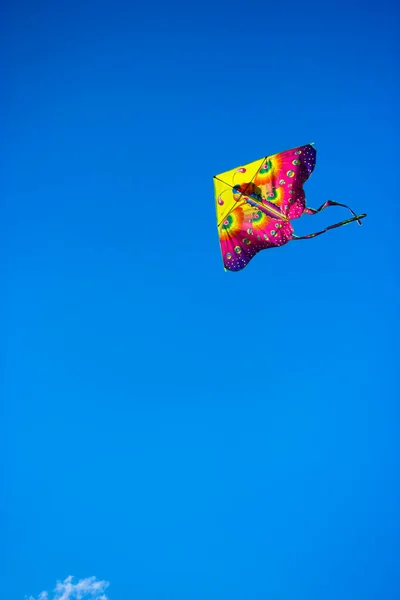 A bright kite into the sky in summer outdoors: vacation in the park. — Stock Photo, Image