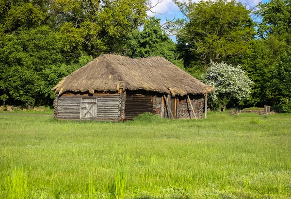 Un grand champ vert et des toits de paille de maisons brunes de style ukrainien dans le village. — Photo