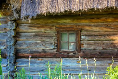 Köydeki Ukrayna tarzı kahverengi evlerin büyük yeşil tarlaları ve saman çatıları.. 