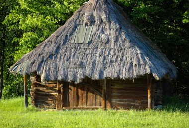 Köydeki Ukrayna tarzı kahverengi evlerin büyük yeşil tarlaları ve saman çatıları.. 