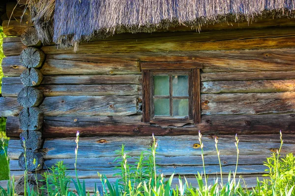 村里一座乌克兰风格的褐色房屋的绿色大田和稻草屋顶. — 图库照片