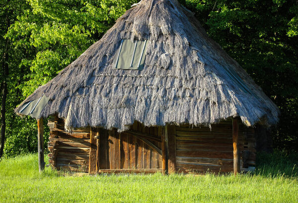 Большое зеленое поле и соломенные крыши коричневых домов украинского стиля в селе. 
