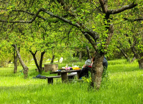 Outdoor picnic: the family sits at the table in the apple orchard in spring or summer on a warm, sunny day.