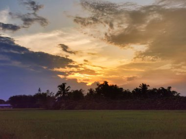 Güzel geniş tarlada akşam güneşinin ışığı.