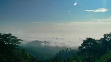 Yüksek bir dağda güzel bir sis..