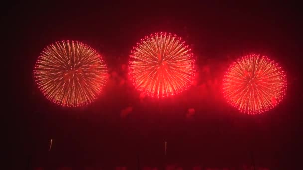 Одновременно Красивом Важном Празднике Зажглись Фейерверки — стоковое видео