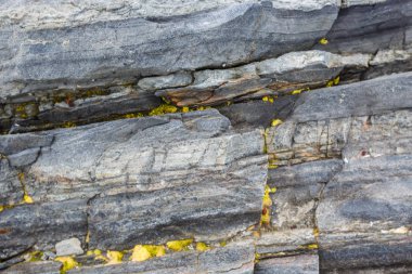 Düşük tide Kuzey sualtı taşlara doku  