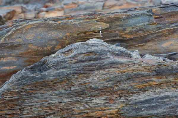 La consistenza delle rocce sottomarine settentrionali con bassa marea — Foto Stock