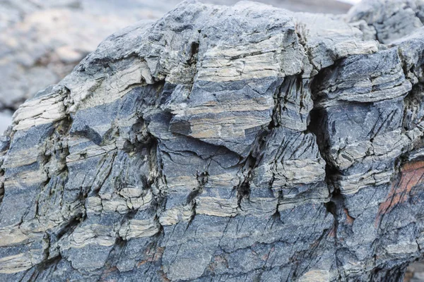 De textuur van het noorden onderwater rotsen bij eb — Stockfoto