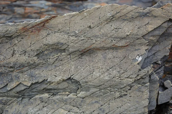 Düşük tide Kuzey sualtı taşlara doku  