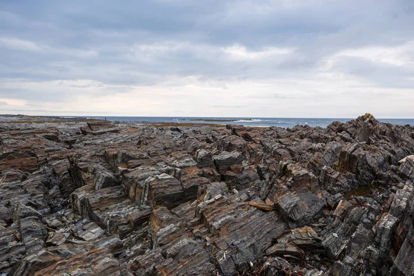 Düşük tide Kuzey sualtı taşlara doku  