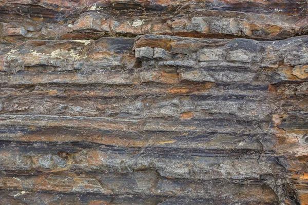 La texture des roches sous-marines du nord à marée basse — Photo