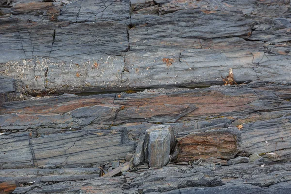 La consistenza delle rocce sottomarine settentrionali con bassa marea — Foto Stock