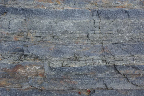 La texture des roches sous-marines du nord à marée basse — Photo