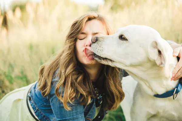 Белая собака-лабрадор играет с красивой девушкой и лижет ее лицо. — стоковое фото