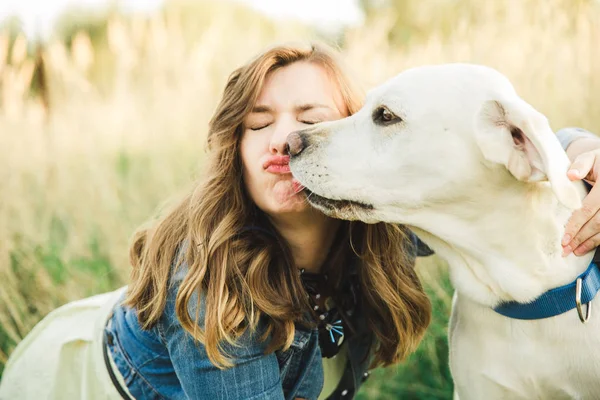 Beyaz bir labrador köpek güzel bir kızla çalış ve yüzünü yalıyor