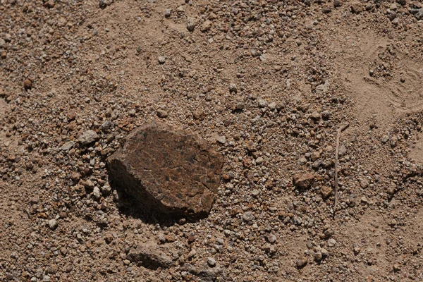 Ein Kleiner Stein Mit Überresten Von Felszeichnungen Auf Einem Wanderweg — Stockfoto