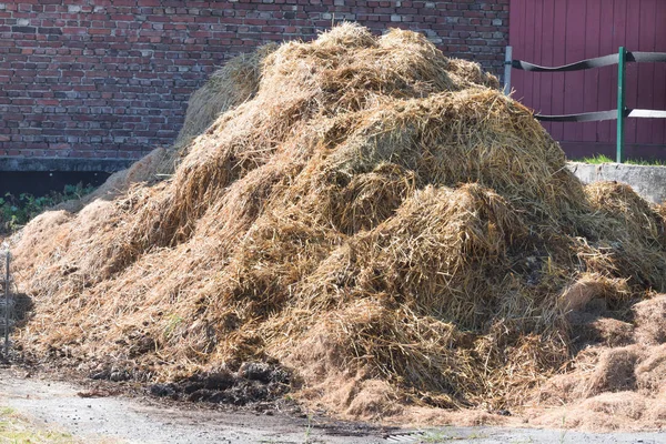 Hromadu hnoje na farmě — Stock fotografie