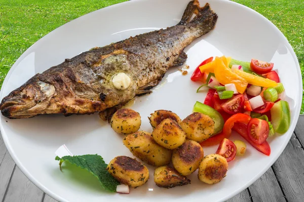 Gebratene Forelle auf weißem Teller — Stockfoto