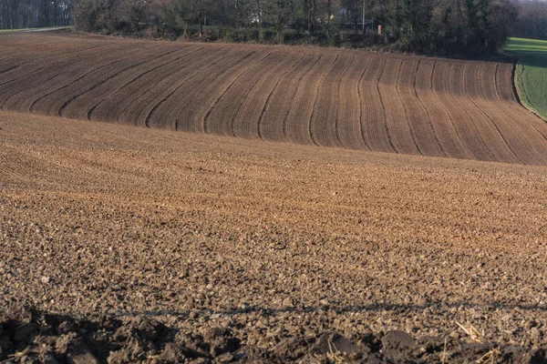 Freshly plowed field in Germany. — Stock Photo, Image