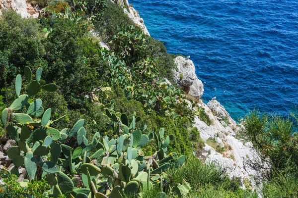 Bahía en la costa oeste de Mallorca — Foto de Stock