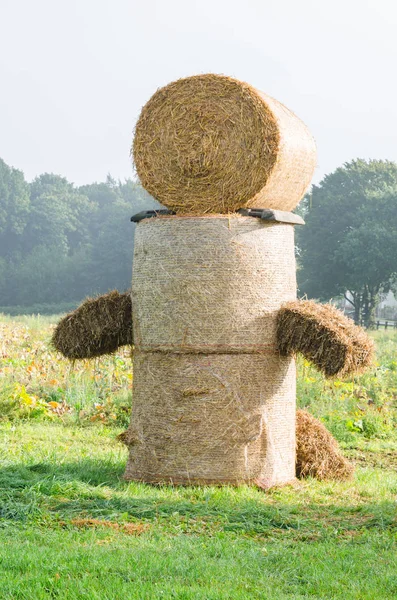 Hay bale figure, in the countryside. — Stock Photo, Image