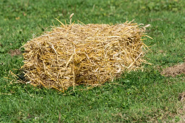 Fardos de palha em um prado. — Fotografia de Stock