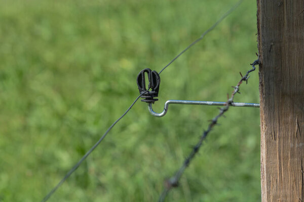 Insulator of an electric fence.   