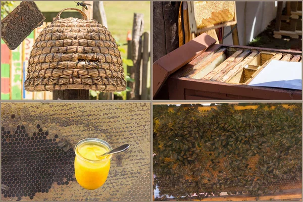 Flujo de trabajo de apicultura y producción de miel — Foto de Stock