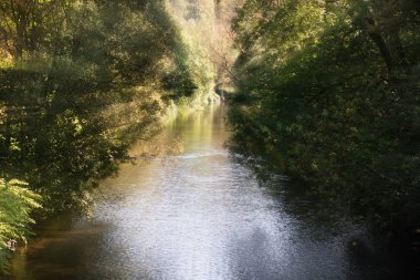 Güneşli bir günde sakin nehir Wupper