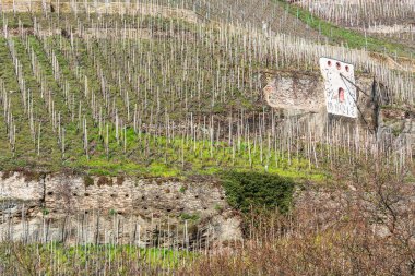 Mosel şarap büyüyen şehre Zeltinger güneş saati      