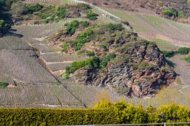 Bahar Mosel nehrinde üzüm bağları.