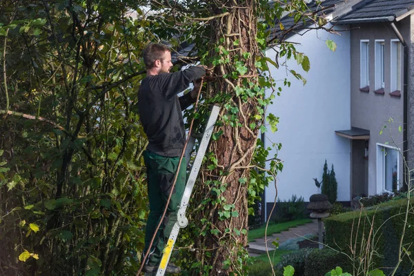 Trabajador forestal aserrando un tronco de árbol con una motosierra — Foto de Stock